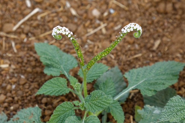 Famille et amis-MAR18-020